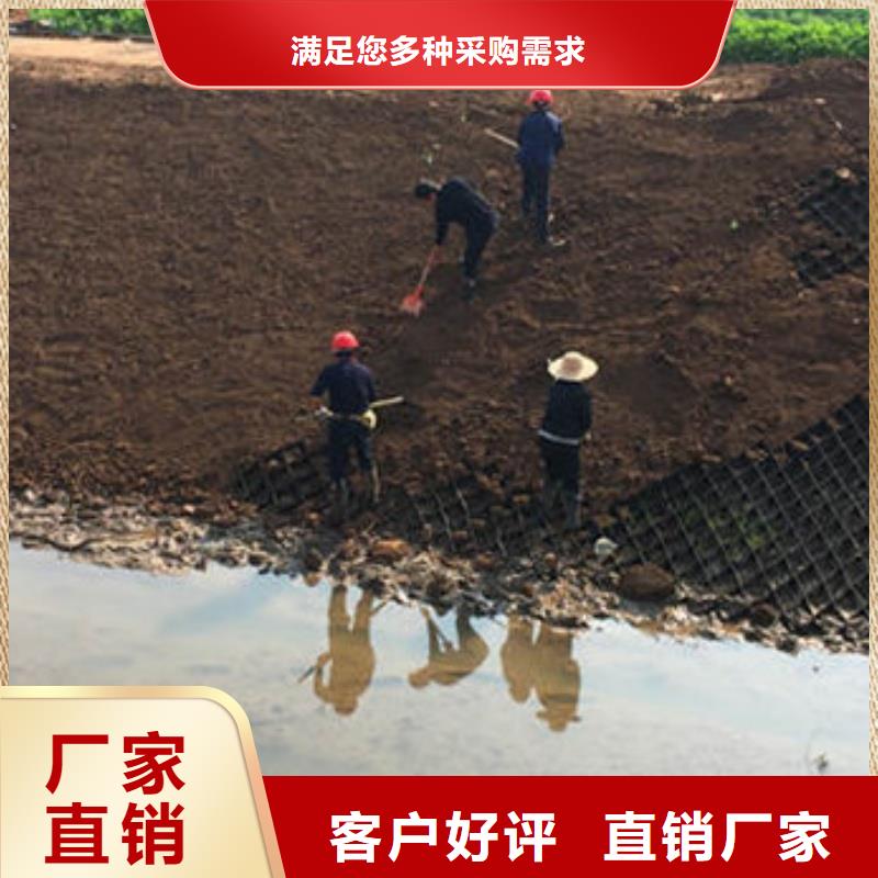 蜂巢格室_蜂巢約束系統(tǒng)價格工藝層層把關(guān)