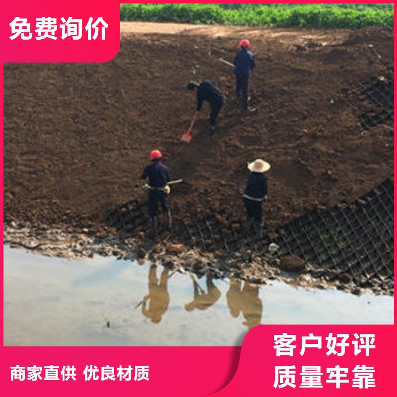 蜂巢格室NCP蜂巢格室當(dāng)?shù)貜S家值得信賴