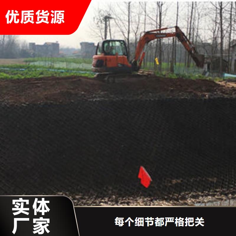 蜂巢格室_土工格室廠家精心