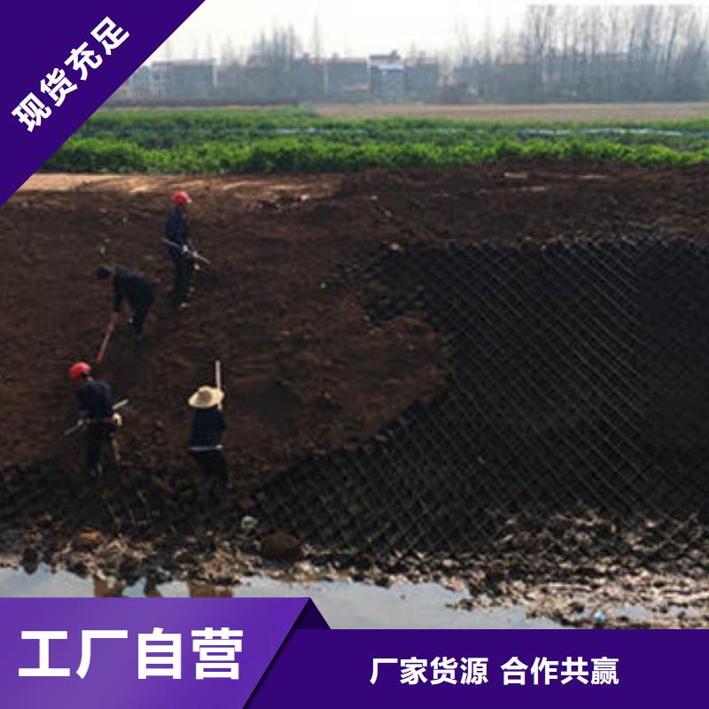 蜂巢格室-六邊形蜂巢土工格室自主研發(fā)