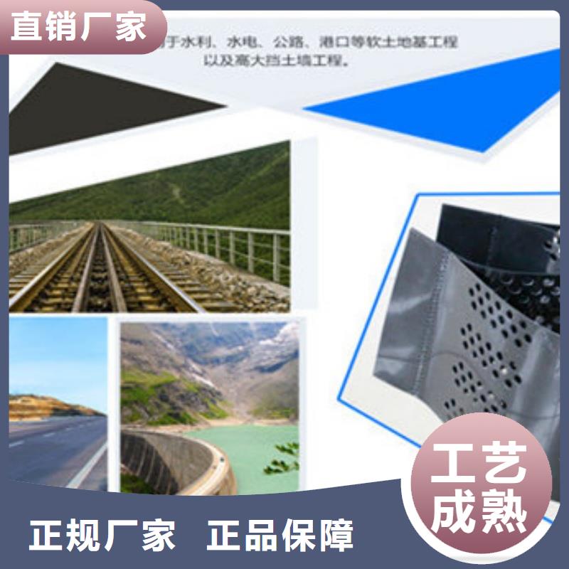 蜂巢格室,加筋土工格室廠家規(guī)格全