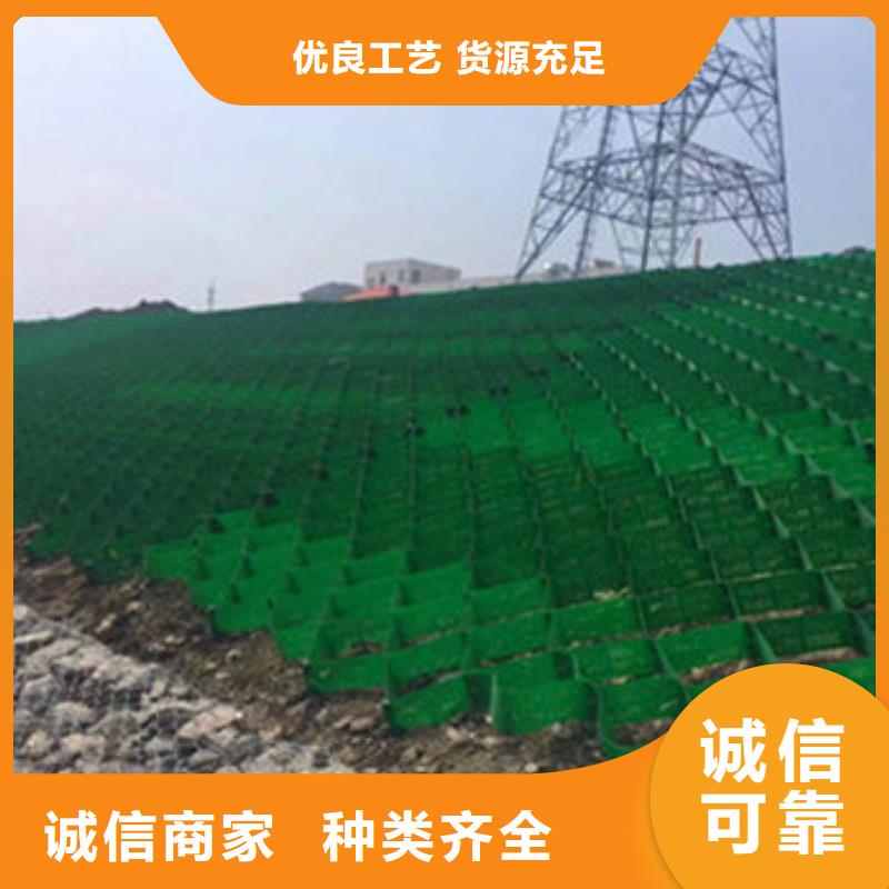 蜂巢格室土工格室 追求品質(zhì)