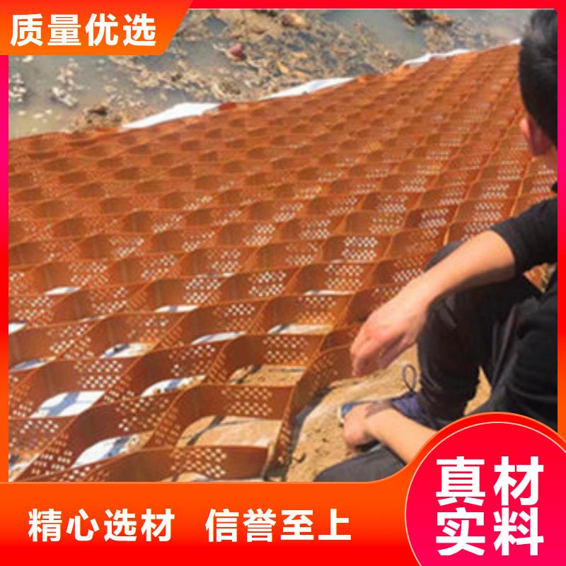 蜂巢格室NCP蜂巢格室細(xì)節(jié)展示