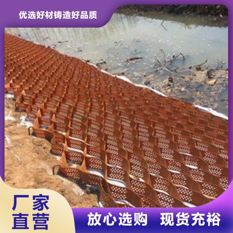 蜂巢格室三維植被網(wǎng)多年廠家可靠