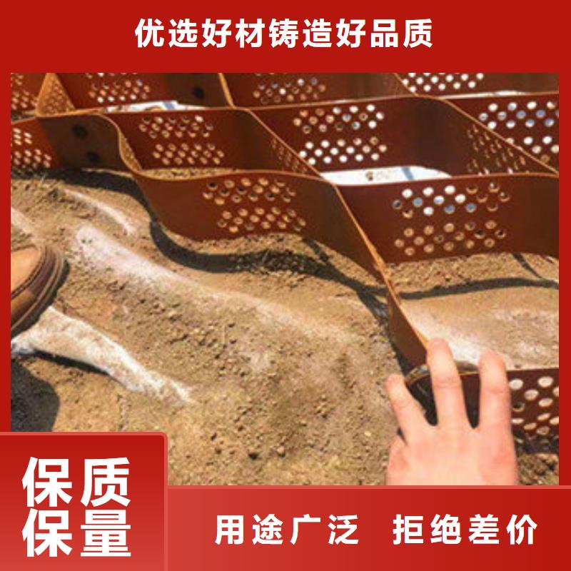 蜂巢格室蜂巢網(wǎng)格廠家可定制