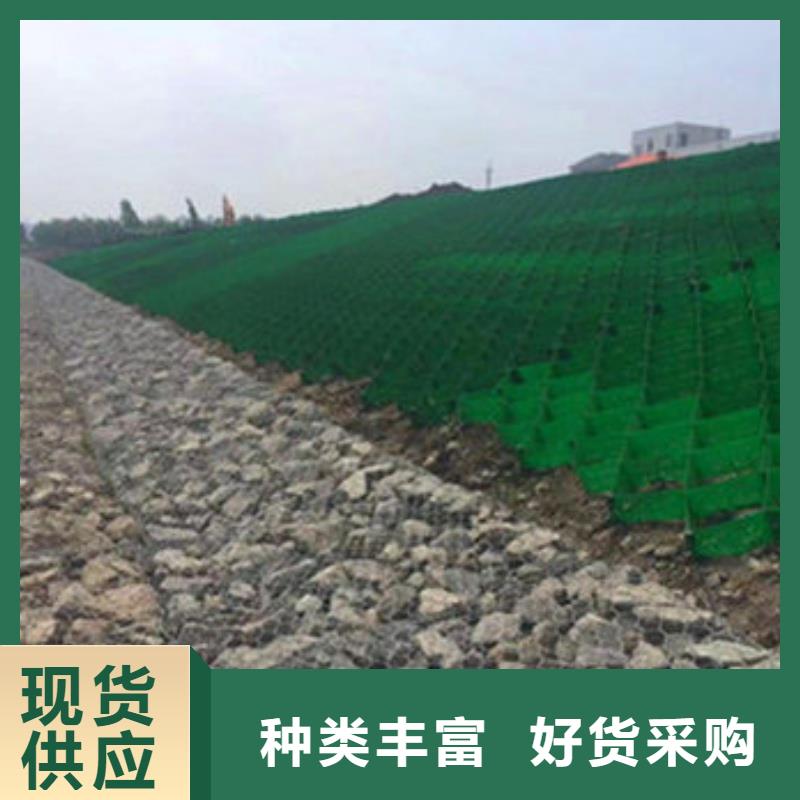 蜂巢格室NCP蜂巢格室讓利客戶