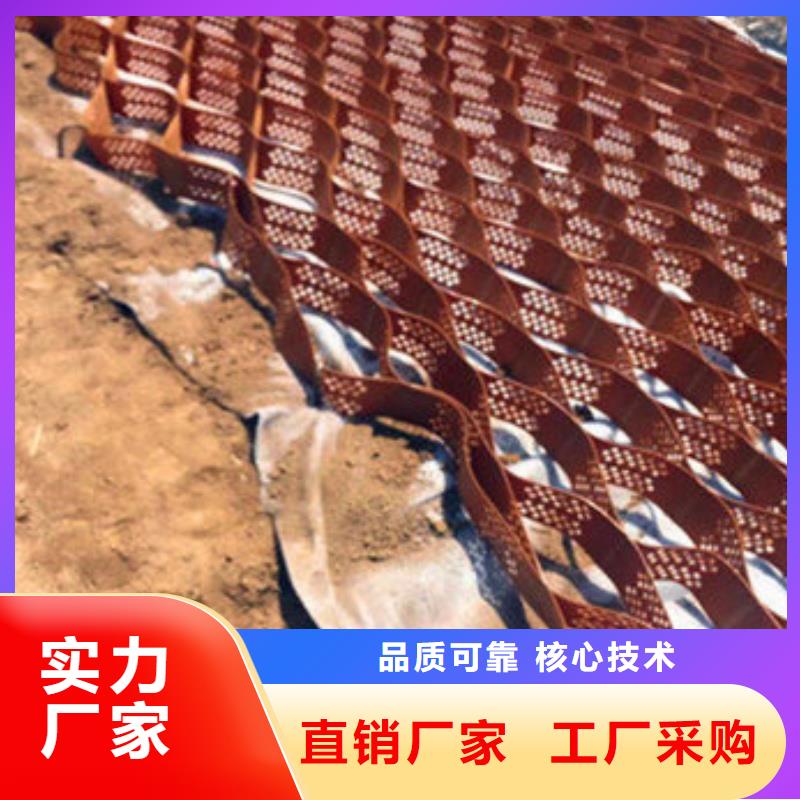 蜂巢格室土工格室 追求品質(zhì)