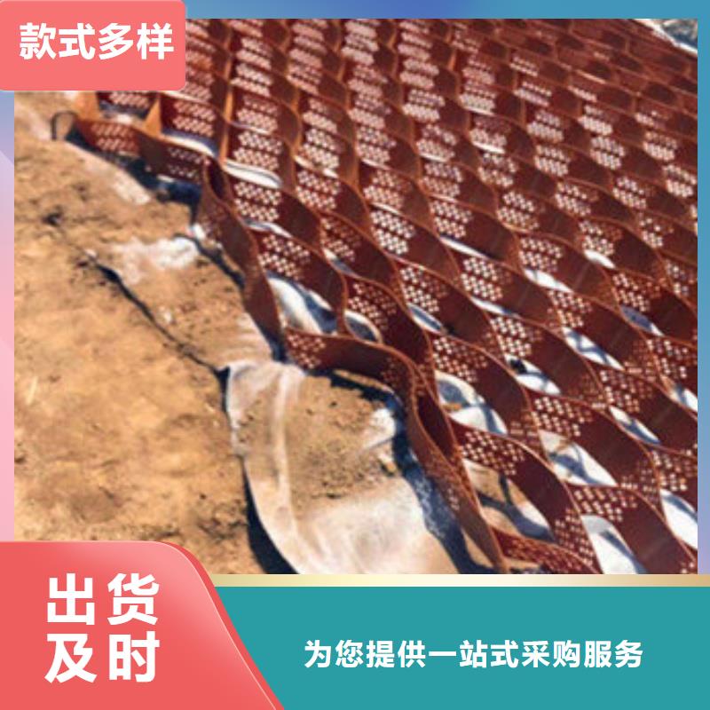 蜂巢格室-聚乙烯土工格室實(shí)體廠家大量現(xiàn)貨