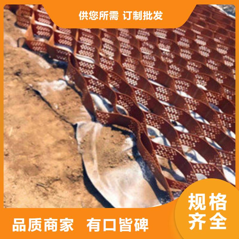 蜂巢格室土工格室 追求品質(zhì)