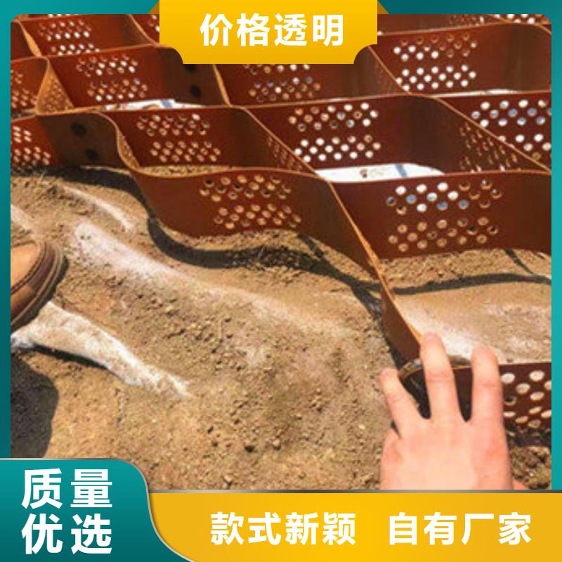 蜂巢格室三維植被網(wǎng)多年廠家可靠