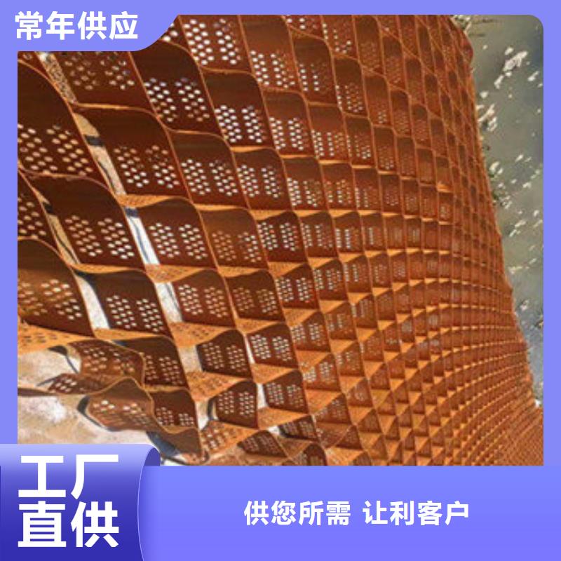 蜂巢格室三維植被網(wǎng)多年廠家可靠