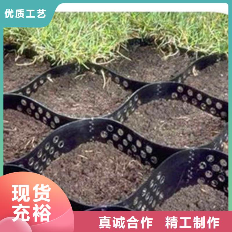 蜂巢格室塑料排水板支持拿樣