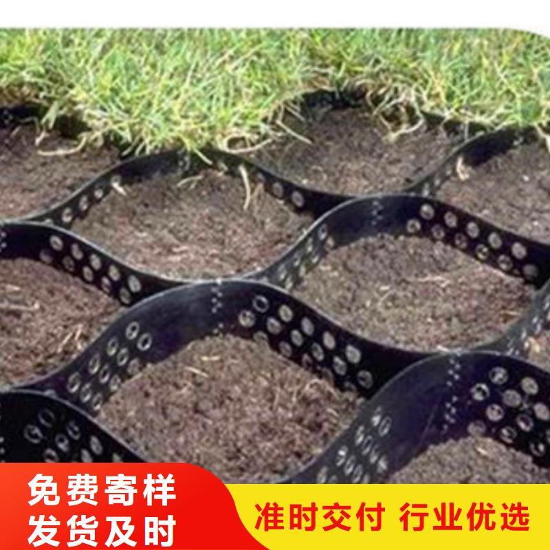 蜂巢格室三維植被網(wǎng)多年廠家可靠