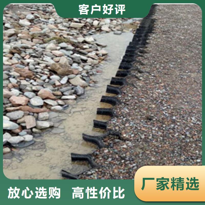 蜂巢格室-聚乙烯土工格室實(shí)體廠家大量現(xiàn)貨