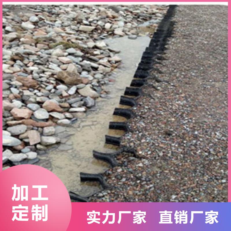 蜂巢格室高模量蜂巢格室專注細節(jié)更放心