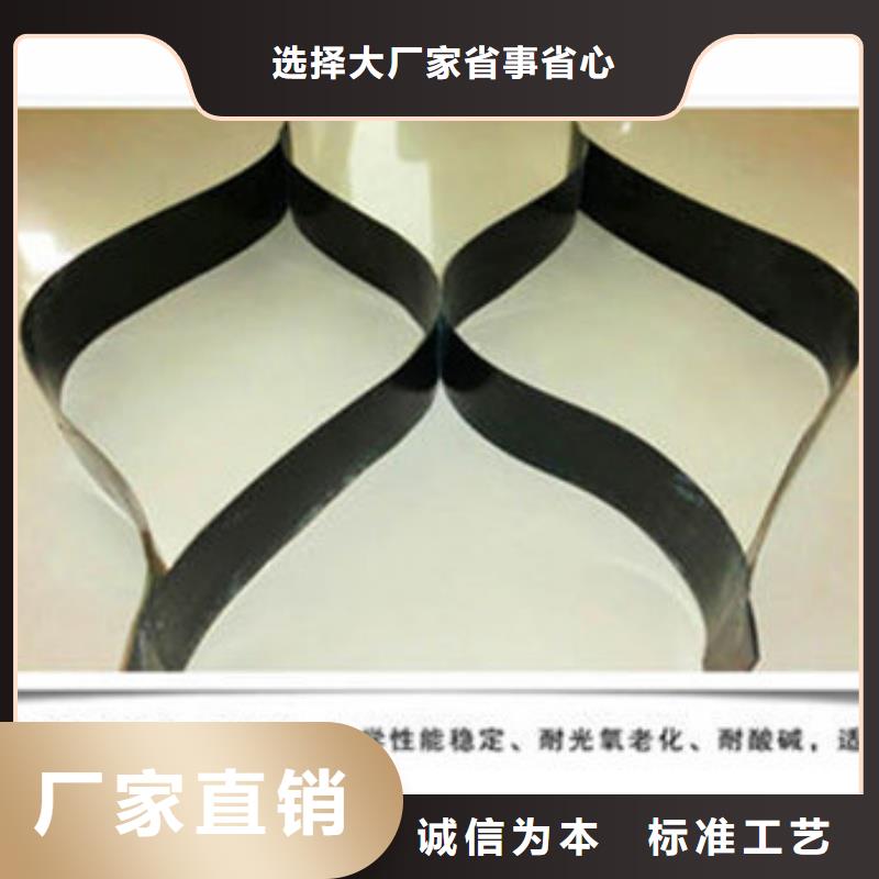 蜂巢格室蜂巢網(wǎng)格廠家支持定制批發(fā)