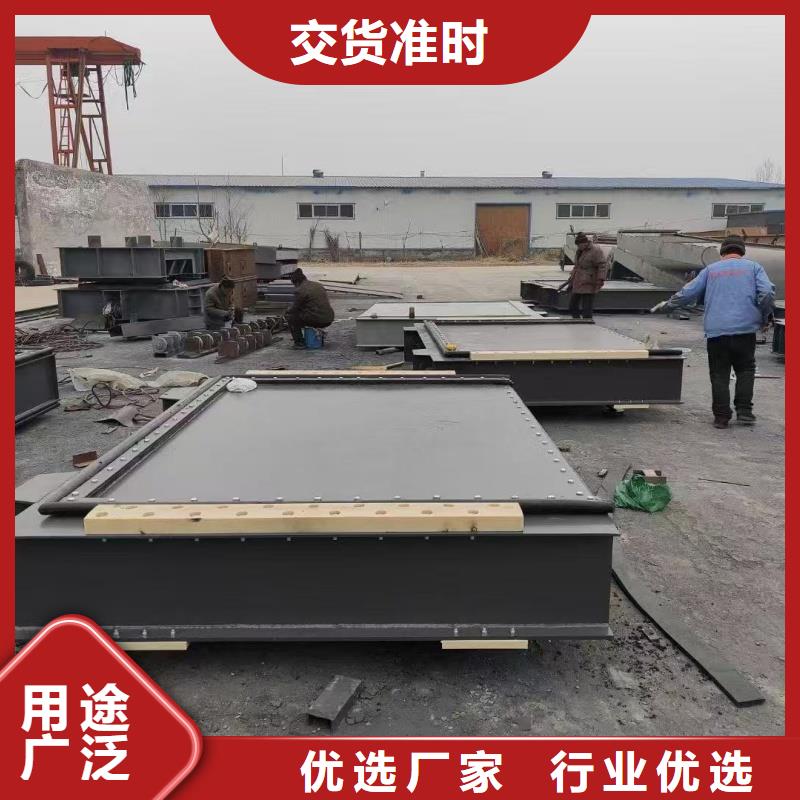 鋼制閘門(mén)廠家直供