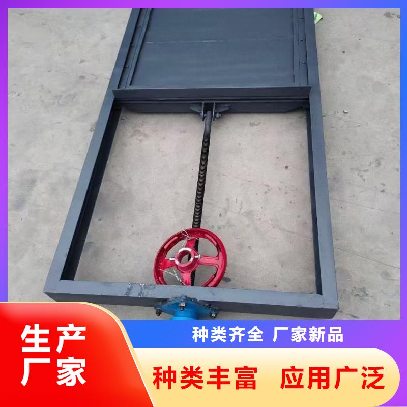 鋼制一體閘門實(shí)體廠家