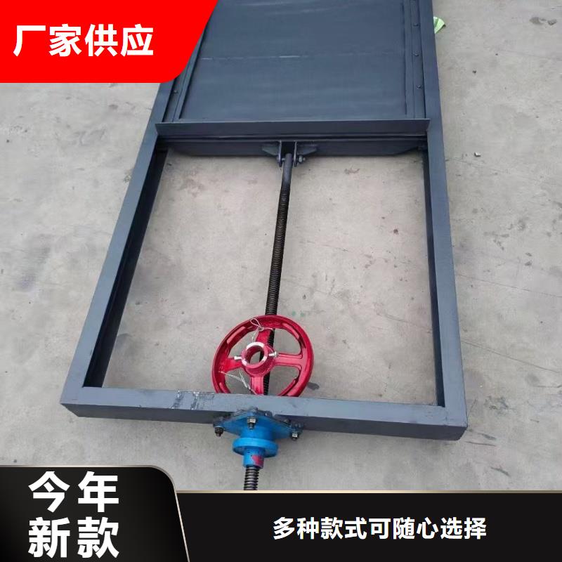 平定輪鋼閘門實(shí)體廠家