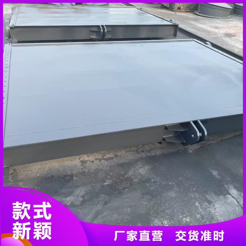 液動下開堰門實(shí)力雄厚