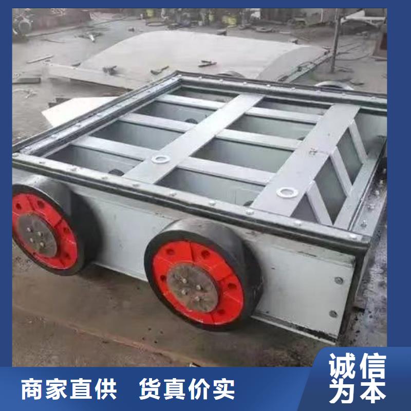 水電站泵站鋼閘門實力雄厚