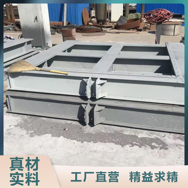 鋼制閘門|卷揚(yáng)啟閉機(jī)平面閘門精心打造