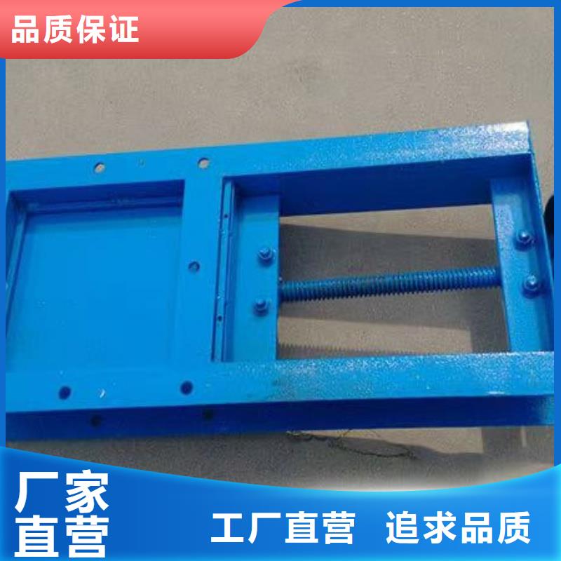 動滑輪鋼制閘門正規(guī)廠家