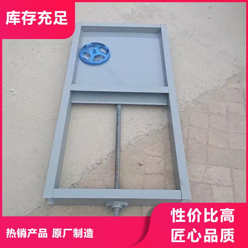 動(dòng)滑輪鋼制閘門廠家供應(yīng)