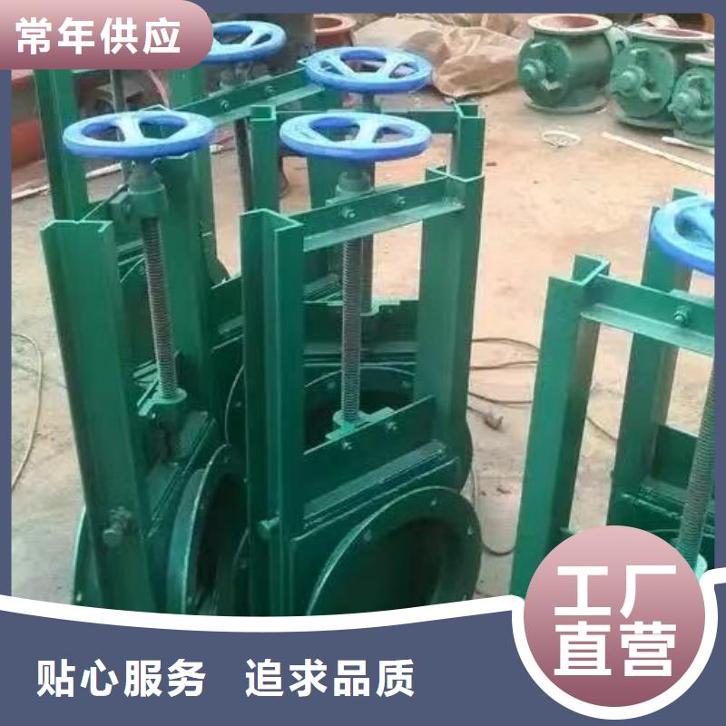 質(zhì)優(yōu)價廉的渠道鋼閘門生產(chǎn)廠家