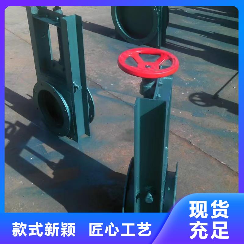 平面定輪鋼閘門以誠為本歡迎咨詢