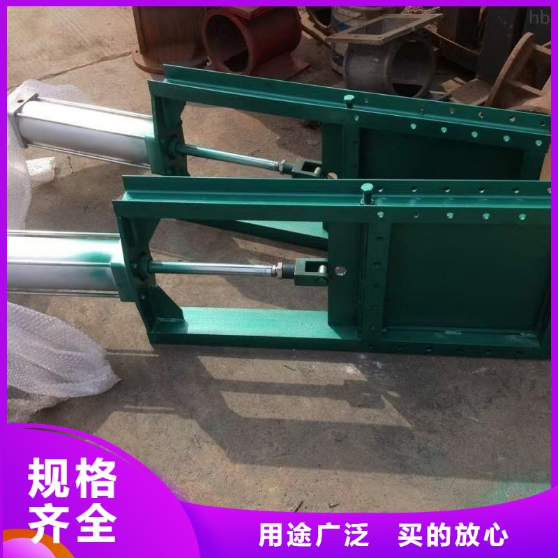 質(zhì)優(yōu)價廉的一體式鋼閘門銷售廠家