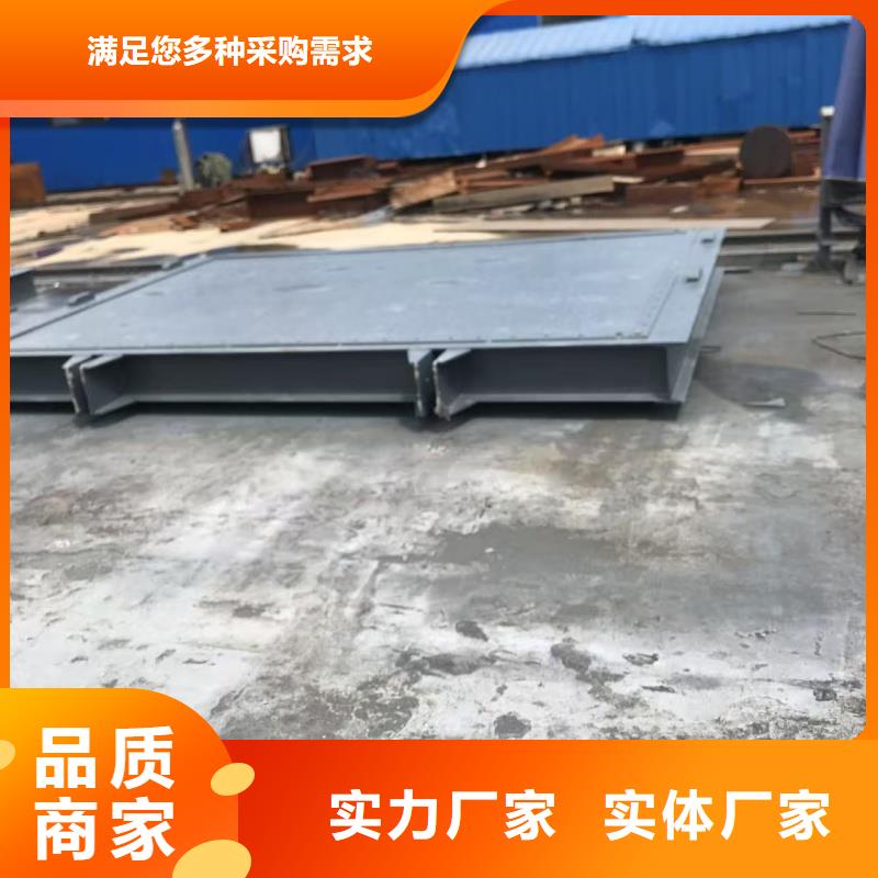 專業(yè)銷售防腐鋼制閘門-熱銷