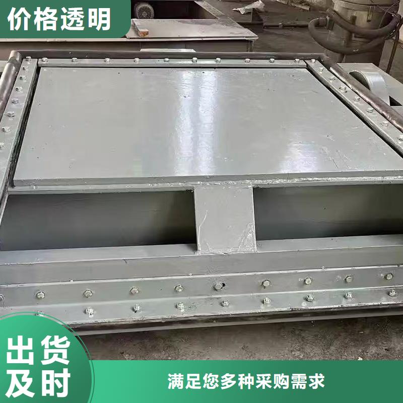 優(yōu)質(zhì)防腐鋼閘門