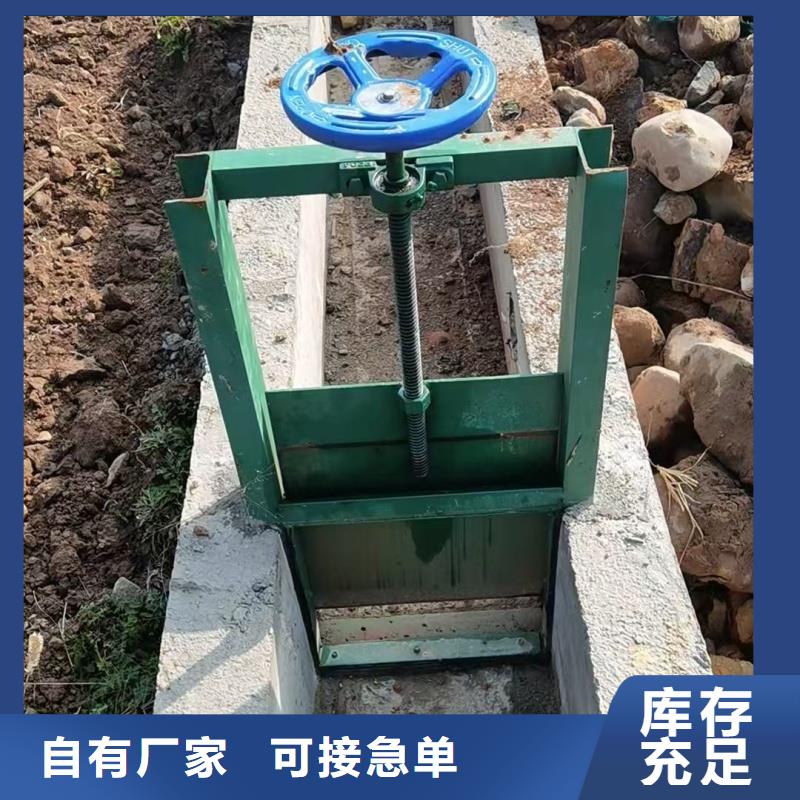 卷?yè)P(yáng)啟閉機(jī)鋼閘門服務(wù)貼心