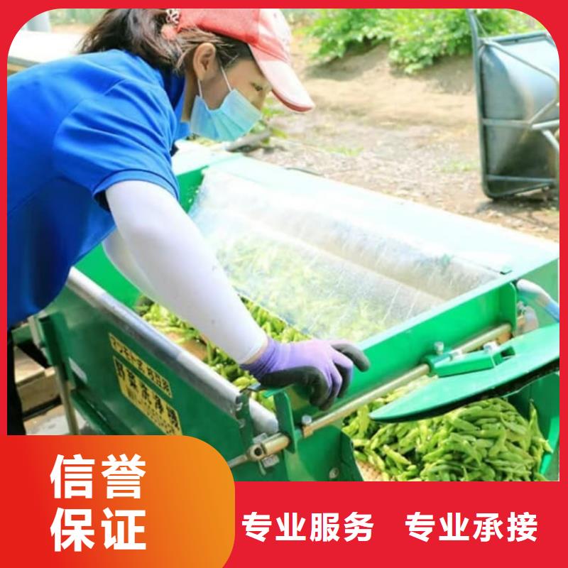 海外務(wù)工年薪保底承潤