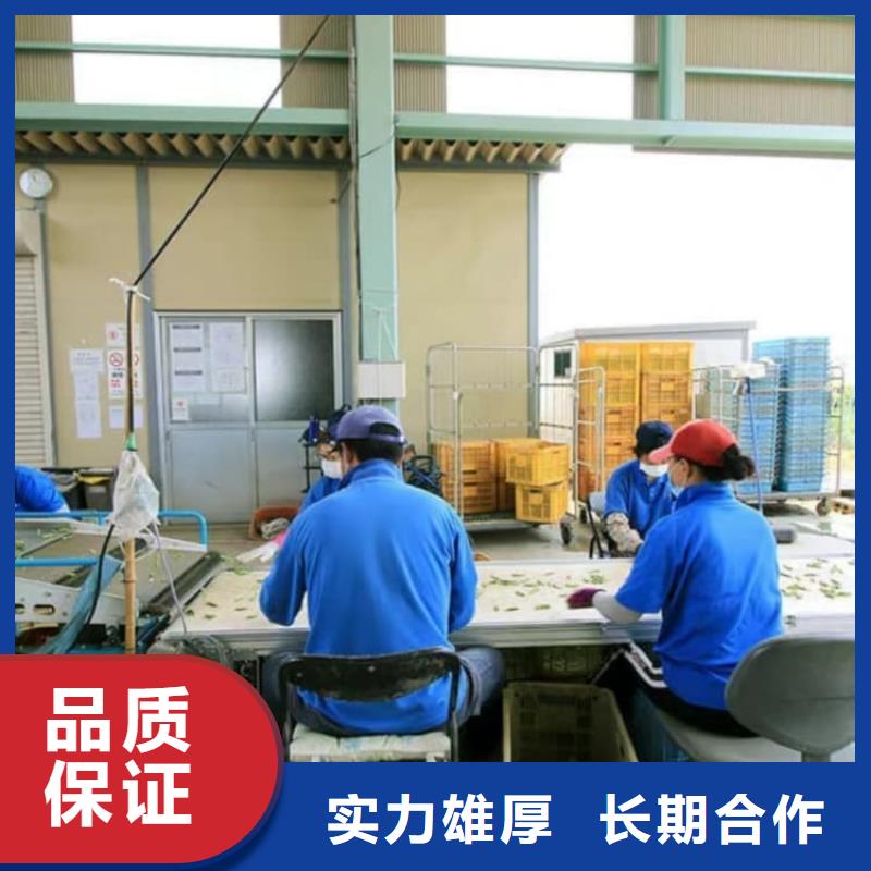 勞務(wù)出國出境全包承潤