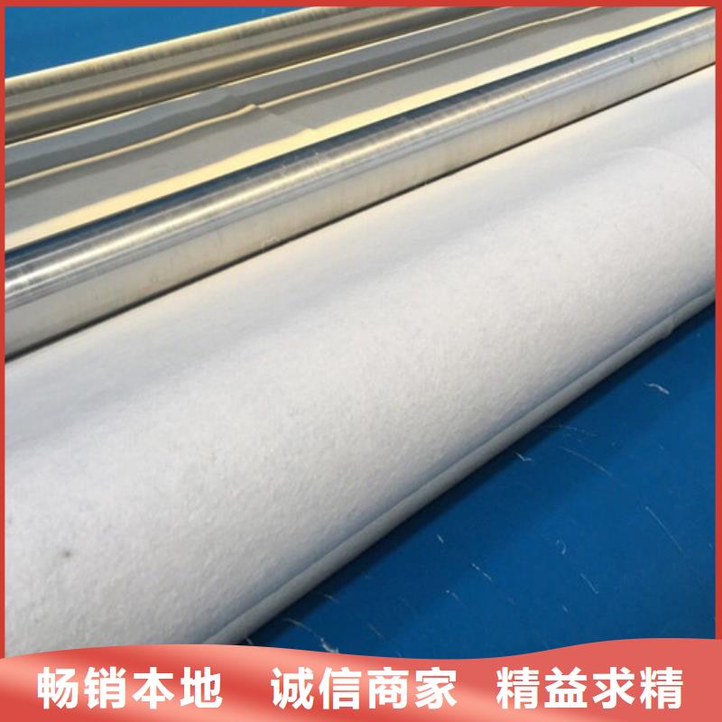 土工布排水土工布符合標(biāo)準(zhǔn)