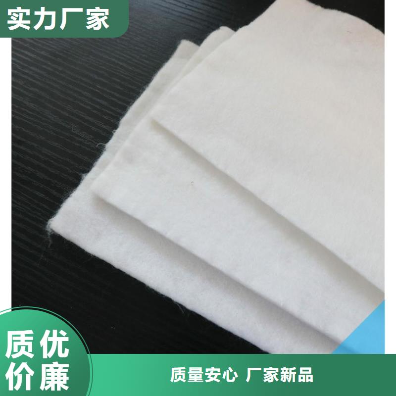 土工布長絲機織土工布經(jīng)驗豐富品質(zhì)可靠