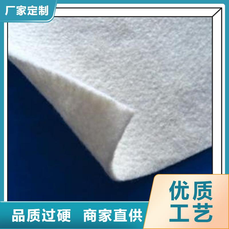 土工布長絲機織土工布經(jīng)驗豐富品質(zhì)可靠