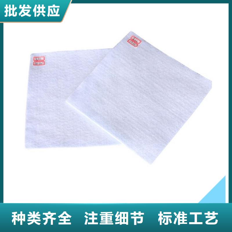 土工布排水土工布符合標(biāo)準(zhǔn)