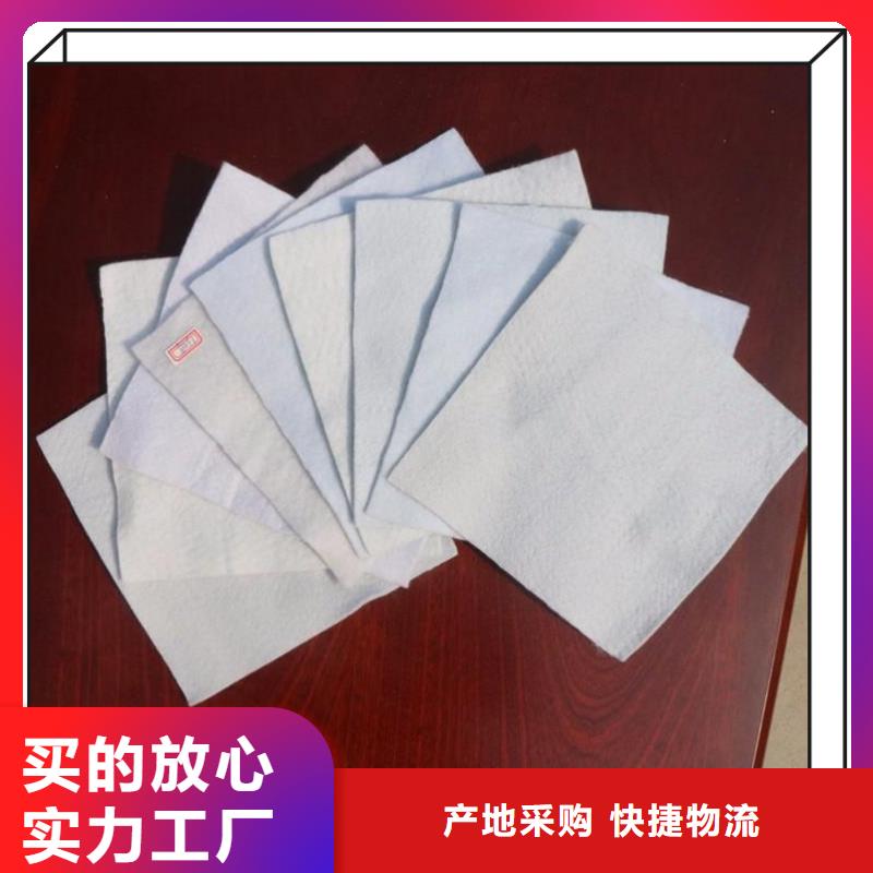 土工布聚酯長絲土工布滿足客戶所需