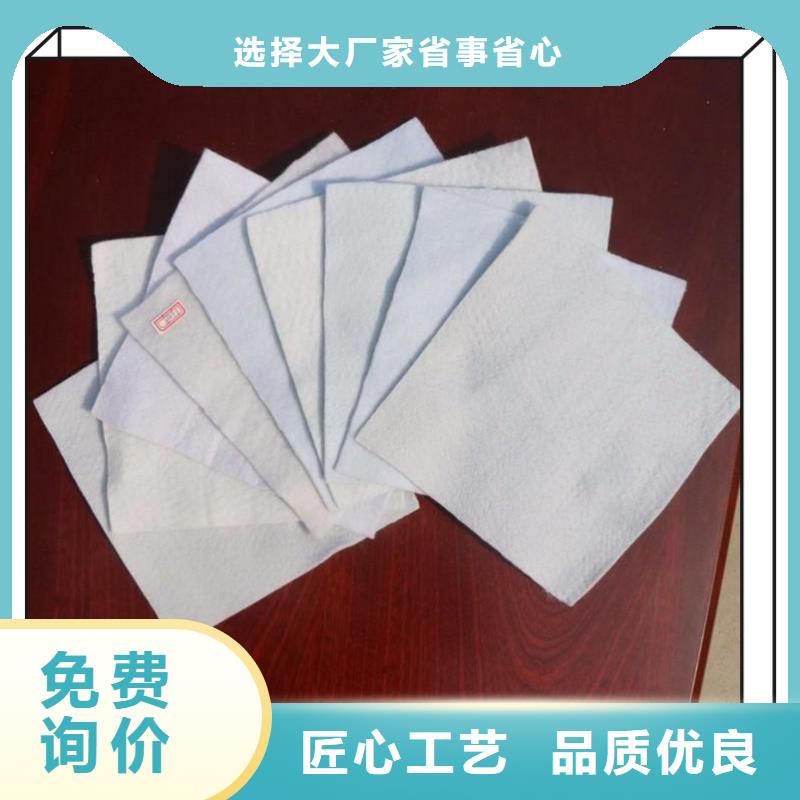 土工布,長絲紡粘土工布一手貨源源頭廠家