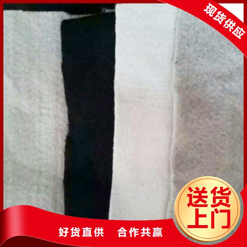土工布編織土工布售后服務(wù)完善