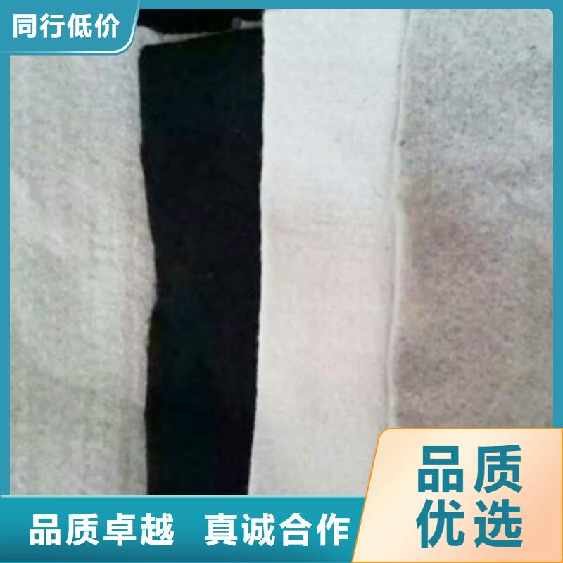 土工布長絲機織土工布經(jīng)驗豐富品質(zhì)可靠