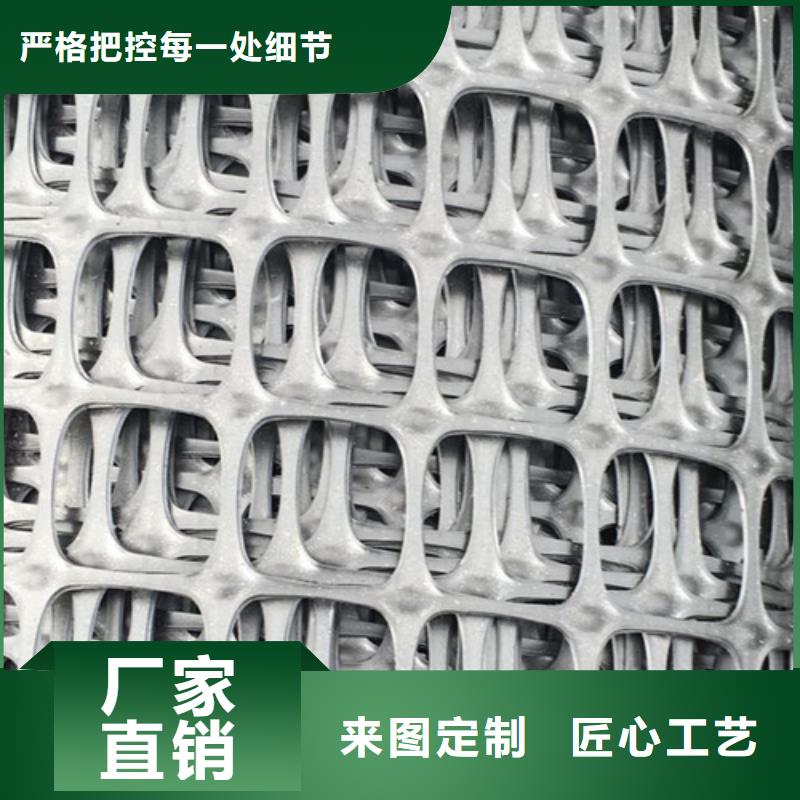 土工格柵滌綸土工格柵精挑細(xì)選好貨