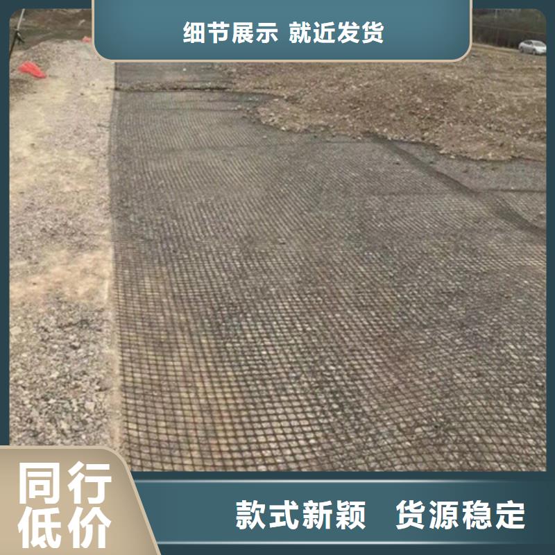 土工格柵雙向經(jīng)編土工格柵多年實(shí)力廠家