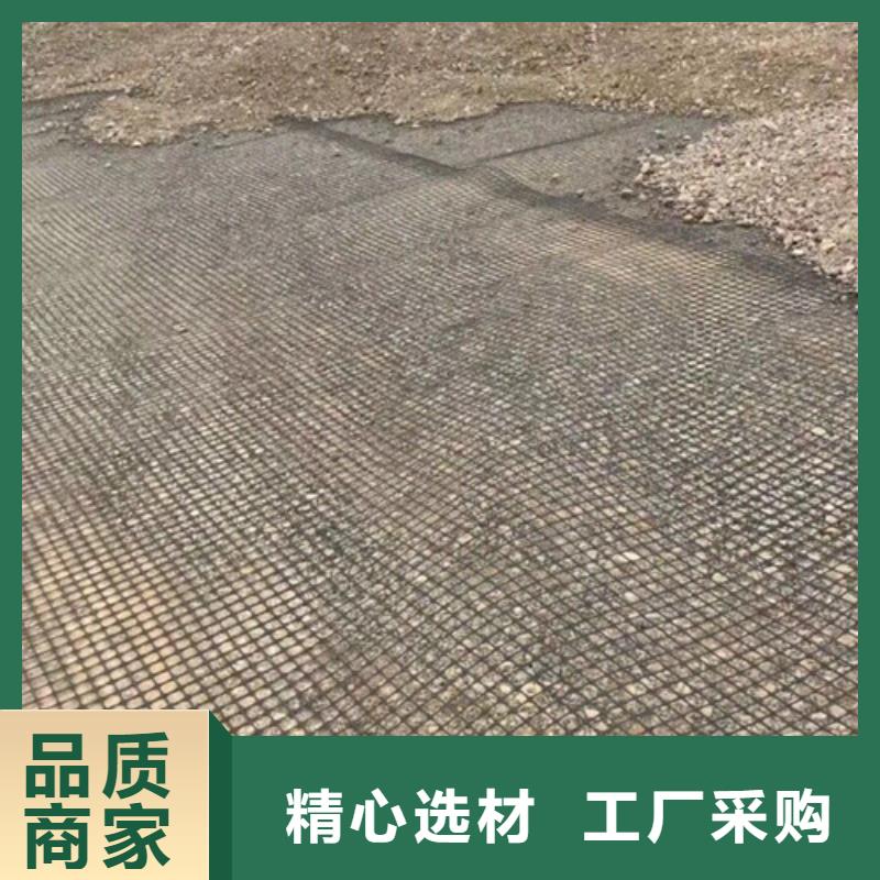 土工格柵路面玻纖格柵實地大廠