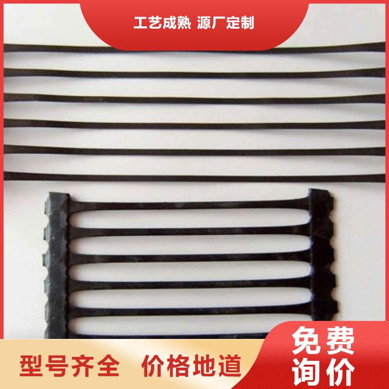 土工格柵滌綸土工格柵精挑細(xì)選好貨