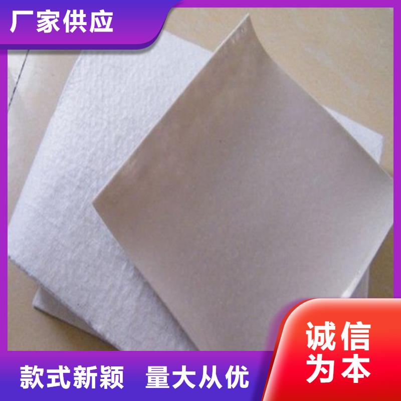 土工膜大壩防滲土工膜實(shí)力優(yōu)品