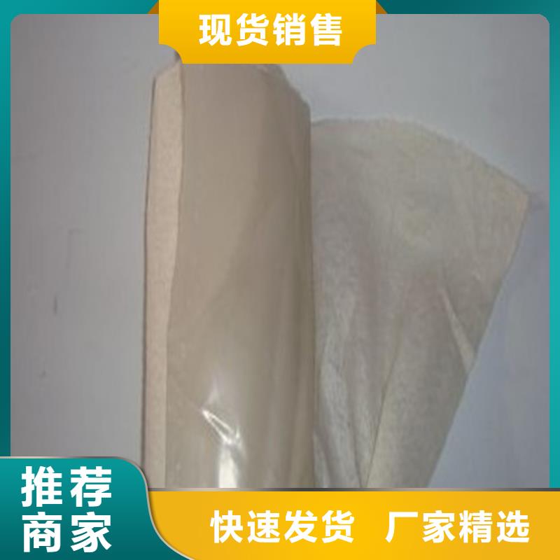 土工膜隔離土工膜源頭把關(guān)放心選購